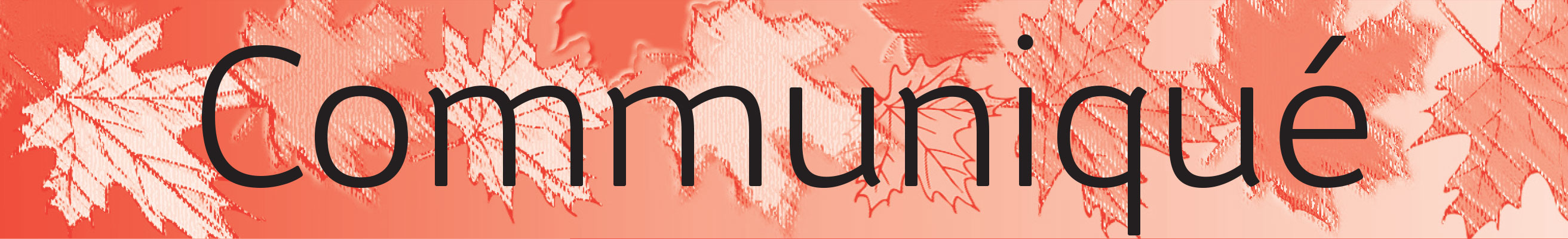 Communiqué header